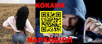 спайс Гай