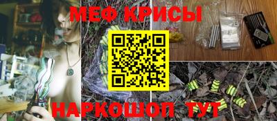 меф Гатчина
