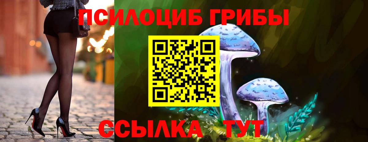 Галлюциногенные грибы MAGIC MUSHROOMS  Вход с VPN  Орск 