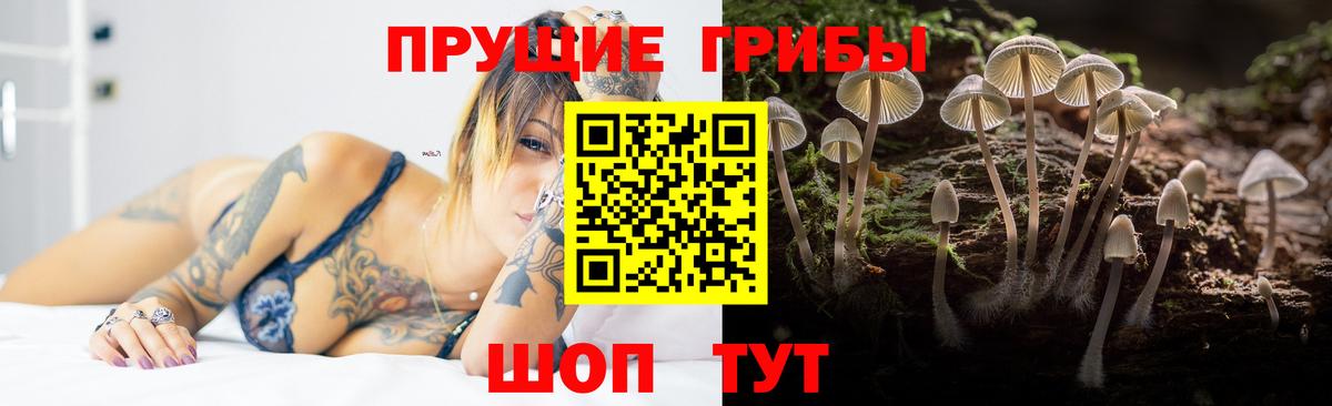 Галлюциногенные грибы ЛСД Орск