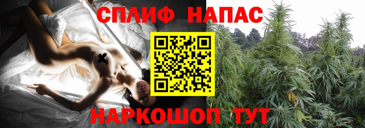 Канабис конопля  Орск  Шишки марихуана план  Канабис MAZAR 